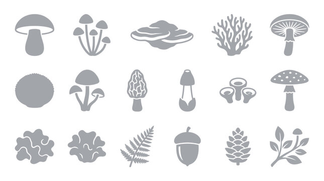 Set of various mushroom and forest plant icons in a simple, elegant style, perfect for nature-themed designs.