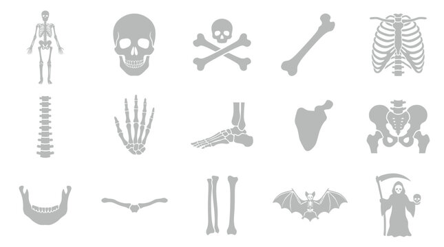 Set of human skeleton bones and Halloween symbols on a white background, medical and spooky concepts.