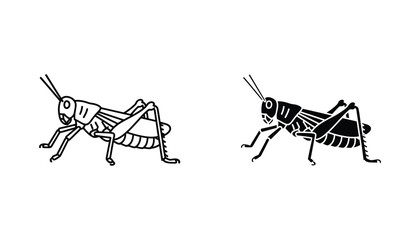 Grasshopper insect icon set in detailed line art and solid black silhouette for nature and entomology study vector © Quantum