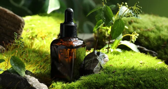 Spraying bottle of cosmetic oil, stones, bark and plants on green moss, closeup