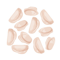Obraz premium Cartoon vector illustration of dumplings isolated on a white background for traditional food and menu design.
