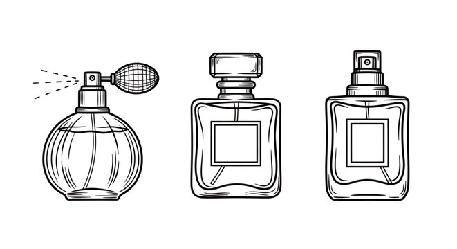 Line art illustration of three perfume bottles with a spray atomizer in a minimalist display.