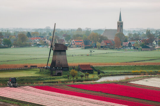 Aerial view of a traditional Dutch windmill standing beside vibrant red and pink tulip fields and a calm canal with a village church in the background in Schermerhorn, North Holland, Netherlands.