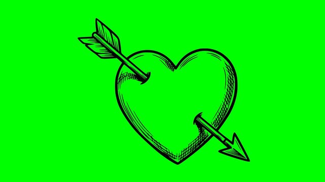 hand drawn heart with arrow animation on green screen chroma key background featuring black ink sketch style with hatching shadows and no white fills for easy compositing