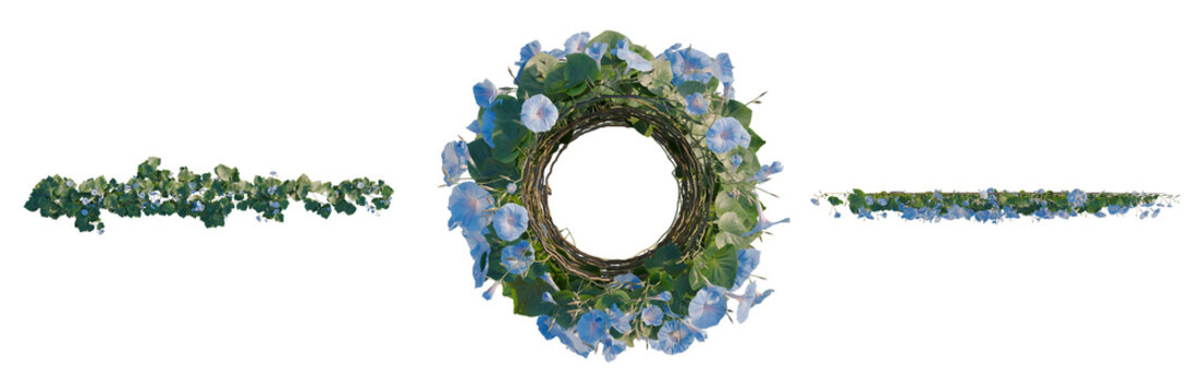 Ipomoea nil tree plan, top view, cutout, transparent background, isolate, Close-up of a single lavender sprig on a white background, perfect for floral design and natural themes.
