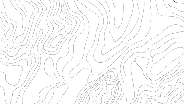 Abstract white noise or digital static pattern background Vector