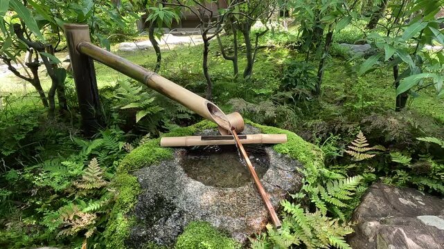 Echoes of Zen: The Mystical Melody of the Suikinkutsu in Japanese Gardens 