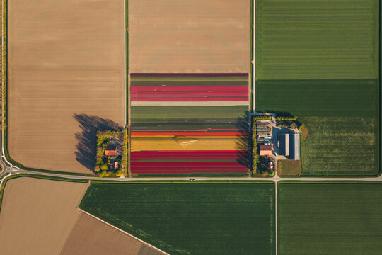 Aerial view of vibrant tulip fields with colorful stripes of red, yellow, and pink flowers surrounded by green agricultural land and farm buildings in Flevoland, Netherlands.