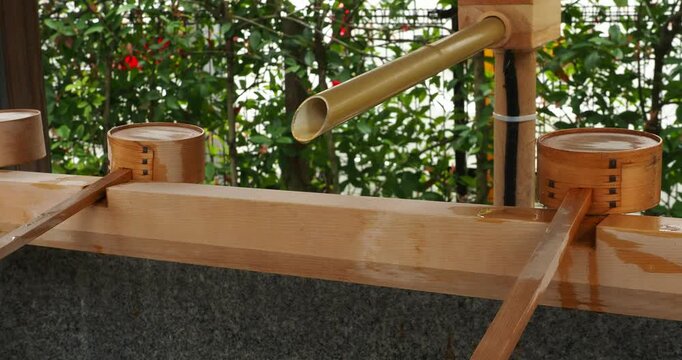Water Flowing from Bamboo Pipe at Traditional Japanese Shrine in Tokyo - Clear water flowing gently from a bamboo pipe at a traditional Japanese shrine in Tokyo, Japan, with peaceful atmosphere 