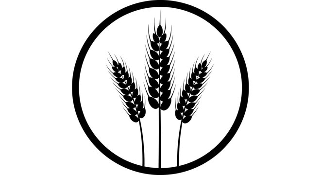 Wheat, grain, black, vector icons, agriculture symbols, food illustrations, 3 wheat ears, circular logo, monochrome