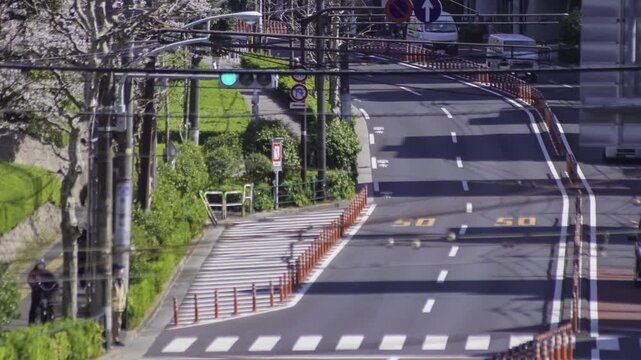 A timelapse of traffic jam with cherry blossom at the street telephoto shot panning