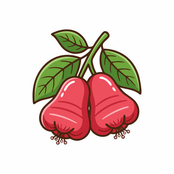 Two fresh rose apple fruits with green leaves on white background, vector illustration