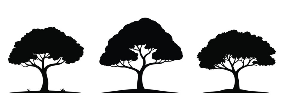 set of silhouettes of trees Vector illustration of tree silhouette is perfect for landscape design