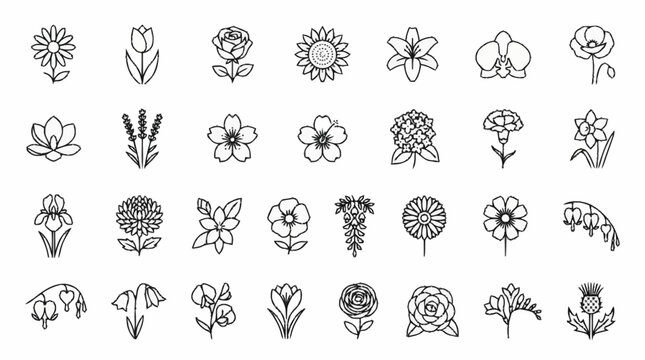 Collection of various flowers and plants in a line art style