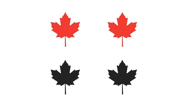 Minimalist vector set of four maple leaf variations arranged in a 2x2 grid centered on white background for design and branding