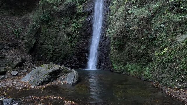 Yoro Falls: One of Japan&rsquo;s Top 100 Waterfalls in Gifu,  Nature and Legend at Yoro Park, Japan
