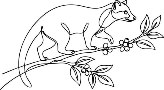 Minimalist one line art luwak civet on coffee branch vector