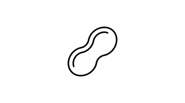 Simple black and white outline icon of a peanut with illustration vegetable minimalist isolated abstract symbolic