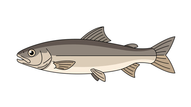 Side view illustration of a streamlined grayishbrown fish on a white background