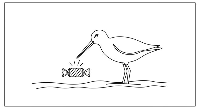 Bird finds candy on beach, nature vs junk food concept