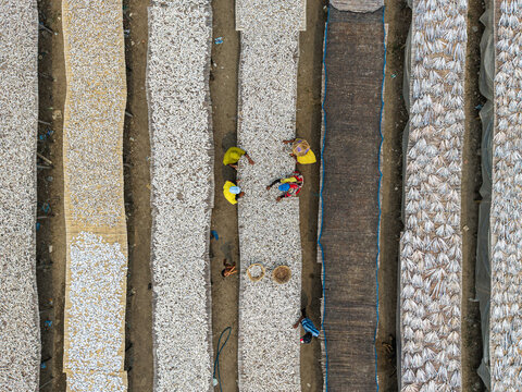 Cox's Bazar, Bangladesh - 11 March 2026: Aerial view of workers tending to rows of small fish drying on mats under the sun.