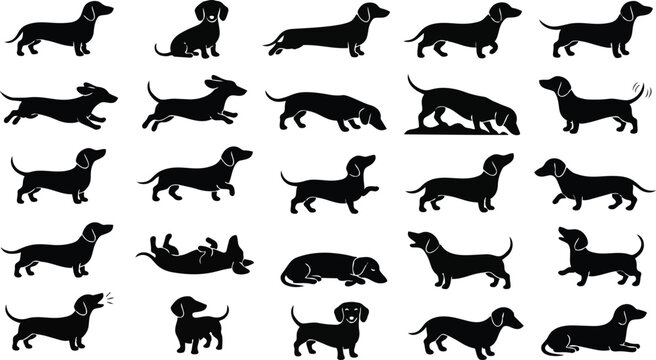 Dachshund Silhouette Set &ndash; Sausage Dog Pose Collection Black Vector Icons