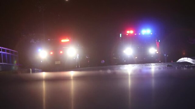 Red and blue emergency lights flash on a police car and fire truck at night as a cat jumps in front of the vehicles.