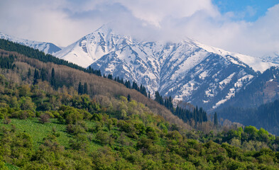 Obraz premium The picturesque slopes of the Trans-Ili Alatau mountains near the Kazakh city of Almaty on a spring day