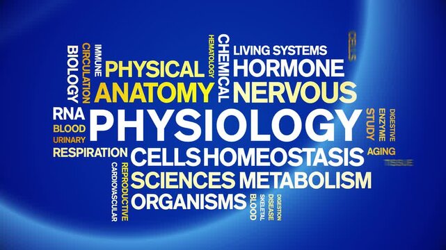 Physiology animated word cloud-text design animation tag kinetic typography seamless loop.