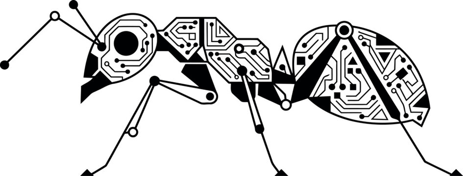 Black and white tribal ant vector illustration, insect graphics, decorative animal design, modern tribal art