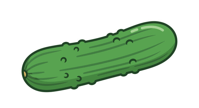 Fresh green pickled cucumber vegetable.