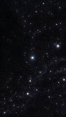 Fototapeta premium Bright shining star in dark night sky surrounded by many distant twinkling stars.