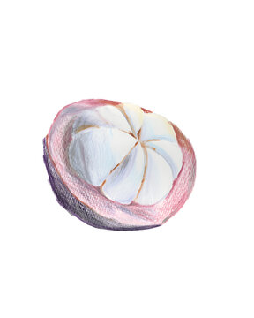 Mangosteen