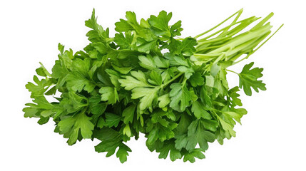 Obraz premium Bunch of fresh parsley leaves on white background