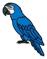 Fototapeta premium Blue macaw parrot side view vector clipart. Generative AI