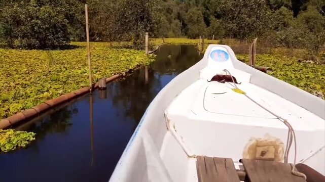 Boat Ride Through Tra Su Cajuput Forest, An Giang, Vietnam 2021