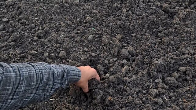 Hand of farmer checking soil health before growth a seed of vegetable or plant seedling. Agriculture concept.
