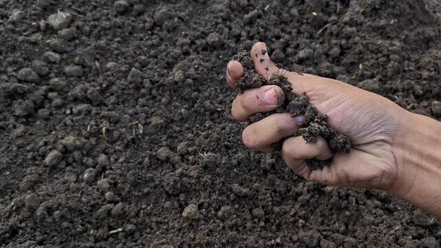 Hand of farmer checking soil health before growth a seed of vegetable or plant seedling. Agriculture concept.