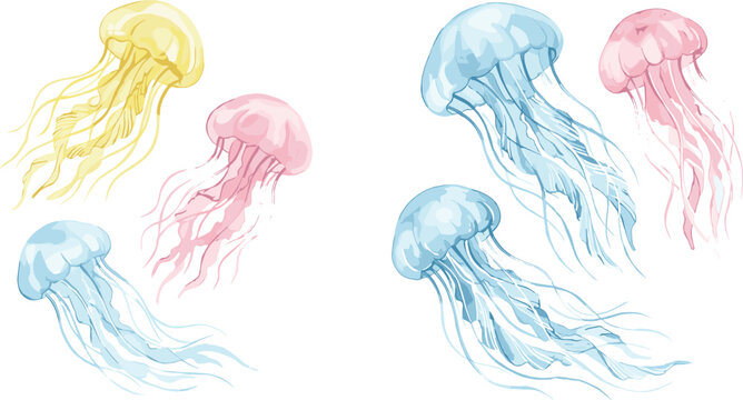 Set of Colorful Transparent Jellyfish Illustrations in Watercolor Style Featuring Floating Marine Sea Creatures Isolated on White Background