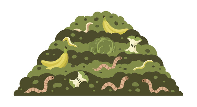 Compost pile with bananas, cabbage, apple cores, and earthworms