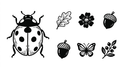 Black and white ladybug insect illustration. © Sanjaya
