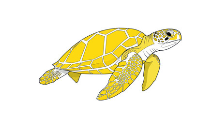 Bright Yellow Sea Turtle Swimming, Isolated on White Background, Marine Life Illustration © hakim