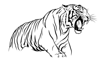 Fierce Tiger Roaring, Black and White Line Art Illustration © Sego