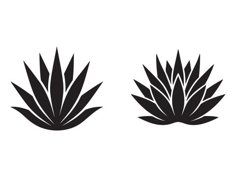 Black agave plant icons  two illustrations of agave plant silhouettes on white background for design and decoration