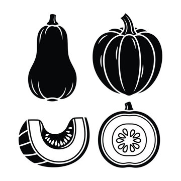 Butternut Squash and Pumpkin Silhouettes winter squash