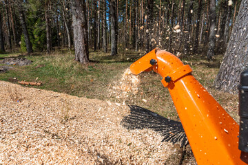 Fototapeta premium An orange wood chipper processes tree branches into mulch, spewing wood chips onto the ground in a forest. This image captures the process of recycling organic waste into valuable.