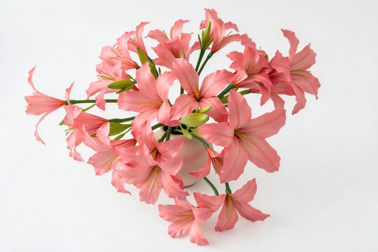 Ariel view of pink lily flowers in ceramic vase in 3d rendering isolated on white