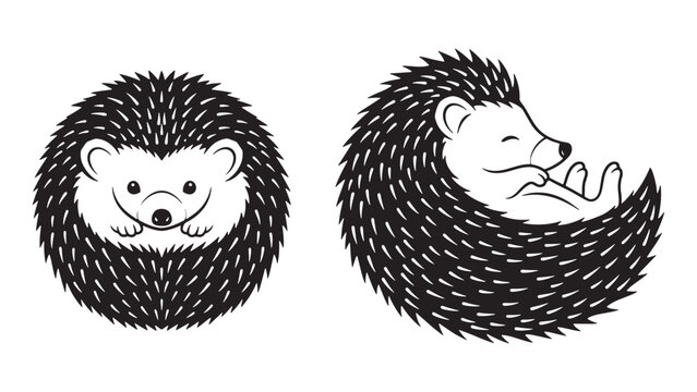 Two Cute Hedgehog Line Art Illustrations On Black Background