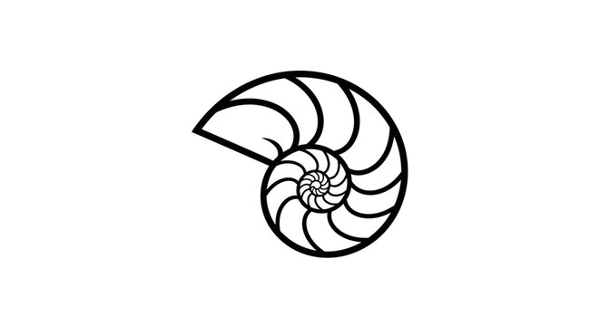 Black line art nautilus shell icon on white background