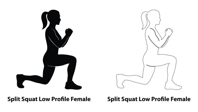 Female performing split squat low profile exercise silhouette and outline illustration for women's leg workout, glute training, and fitness guide